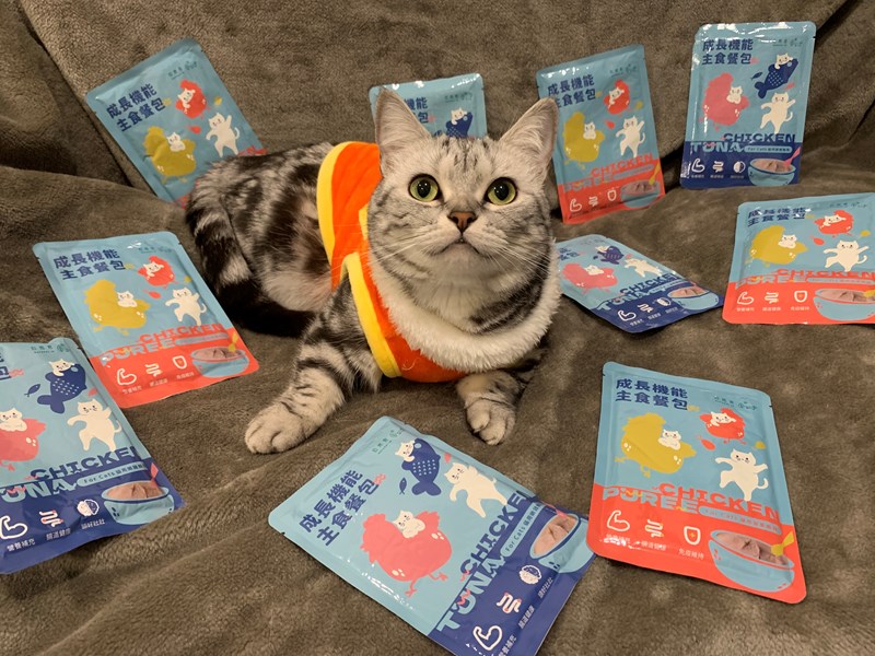 女人知己試用大隊,口碑行銷,部落客行銷,自然食 成長機能主食餐包,自然食,成長機能狗狗主食餐包,成長機能貓咪主食餐包,滿足毛孩最單純的幸福,人食等級食材,開封即食,綿密的肉泥狀質地,好吸收,無膠類,無色素,無防腐劑的添,維持腸道健康,添加DHA/靈芝多醣體,使用高優質蛋白,適口性佳,狗狗口味,犬用營養火雞,犬用嫩雞牛肉,貓咪口味,貓用營養嫩雞,貓用嫩雞鮪魚